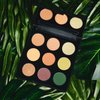 Palladio Ultimate 9-Count Eyeshadow Palette, Talc-Free Formula, High Pigmented Shades in A Mix of Matte & Shimmer Finishes, Blendable Long Lasting Colorful Professional-Grade Makeup (Natural Earth)