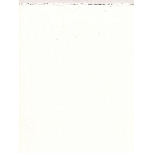 Fabriano Artistico Watercolor Paper (Extra White) - 140 Lb. Cold Press