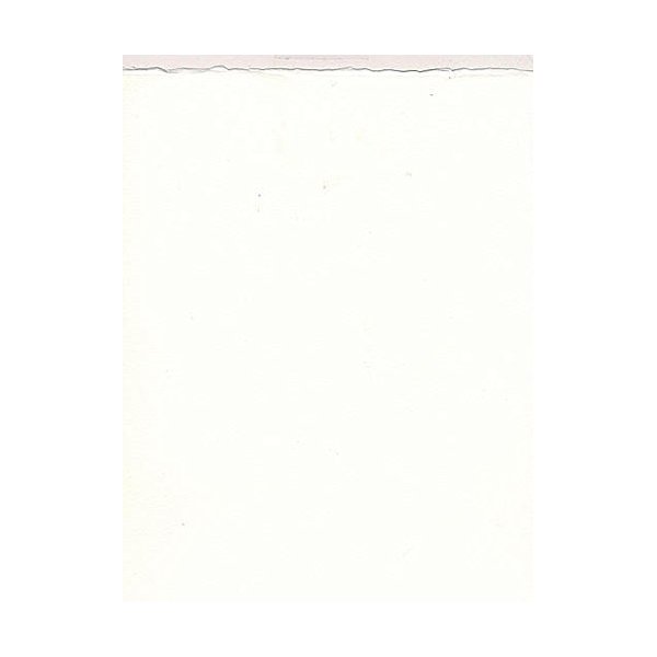 Fabriano Artistico Watercolor Paper (Extra White) - 140 Lb. Cold Press