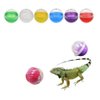 PUMEXFE 6 Pieces Lizard Bear Dragon Feeding Toy Ball Reptile Food Toy Ball Lizard Interactive Toys for Bear Dragon, Lizards, Geckos and Small Animals (Purple)