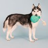 Fringe Studio Plush Dog Toy, I Pawty, You Pawty, Pet Shop Collection (314210)