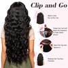 REECHO 20" 1-Pack 3/4 Full Head Curly Wave Clips in on Synthetic Hair Extensions HE008 Hairpieces for Women 5 Clips 4.5 Oz per Piece - Natural Black