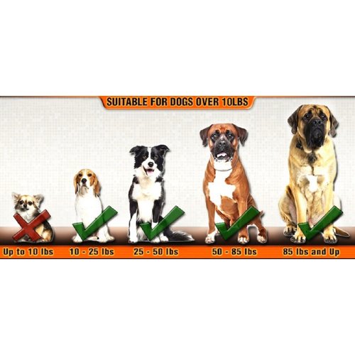 Dean & Tyler DT Universal No Pull Dog Harness with Service Dog Patches, Orange, Small
