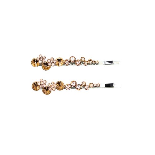 Faship A Pair Of Champagne Premium Rhinestone Crystal Floral Hair Clips Pins 2 Pcs