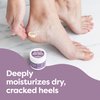 ZenToes Natural Foot Balm Cream for Dry Cracked Heels and Feet with Coconut Oil, Tea Tree Oil, Vitamin E Oil, Jojoba Oil, Shea Butter, Lavender Essential Oils - Hydrate, Soften Rough Skin