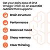 NeuroQ Memory DHA-400 - Omega-3 Fish Oil Supplement - Mental Performance & Balance - Supports Neuro Brain Health - Protects Against Memory Loss & Improves Focus - 120 Softgels