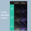 Water Works Powder Hair Color, Permanent, 3 packs (Blue Black)