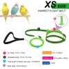 Shappy 4 Pieces Pet Parrot Bird Harness Leash Adjustable Bird Flying Harness Traction Rope with Cute for Parrots Pigeons Budgerigar Lovebird Cockatiel Mynah Outdoor Training Toy (Green, Pink,XS)