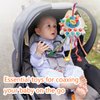 NeslGenc Baby Toys 6 to 12 Months,Montessori Toys for 1 Year Old Boy Girl Baby Sensory Toys for Babies 12-18 Months Pull String Toys for Christmas and Birthday Gifts Infant,Toddlers