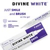 Divine White Snow Teeth Whitening Gel Pen with Brush Tip Applicator Includes 36% Carbamide Peroxide | Compact Design, Travel Friendly, Beautiful White Smile, Oral Care Teeth Whitening Pen, Pack of 3