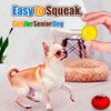 HOLYSTEED Squeaky Dog Toy for Small Dogs Latex Soft Puppy Toys Small Dog Toys Balls, Smile Face Flat Squeaky Dog Balls for Mini, Small Breeds
