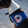Premium ESA Emotional Support Dog Vest - Reflective - Zipper Pocket - ID Holder - Includes 5 Federal Law ESA Handout Cards (23-29" Girth, Raspberry)