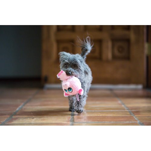 Multipet 43235-1 Knobby Noggins Koala Dog Toy