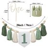 Wild One High Chair Banner For 1st Birthday Party Boy Decorations With Green Tassel Garland Crown Hat Cake Topper
