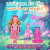 Forest & Twelfth Fairy Figurines Dolls & Accessories Set in Plastic Carrying Case with Handle 5.75" Fairy Mini Dolls for Girls Toys, Fun Fairy Party Favors, Fairy Birthday Party Gifts