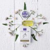 Little Seed Farm Essential Body Oil, Lavender, 4.0 Ounce