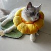 KUDES Cat Small Dog Recovery Collar, Cute Sunflower Neck Cone After Surgery, Adjustable Pet E Collar, Wound Healing Protective Cone Surgery Recovery Elizabethan Collars for Small Pets