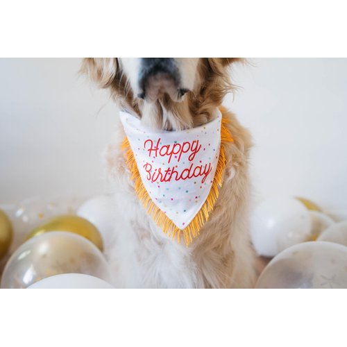 ZippyPaws Birthday Gifts for Dogs - Polkadot Birthday Bandana and Plush Squeaky Bone Toy, Dog Birthday Party Supplies for Boys & Girls