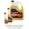 Chevron Techron Protection Plus Powersports and Small Engine Fuel System Treatment, 10 oz, Pack of 1