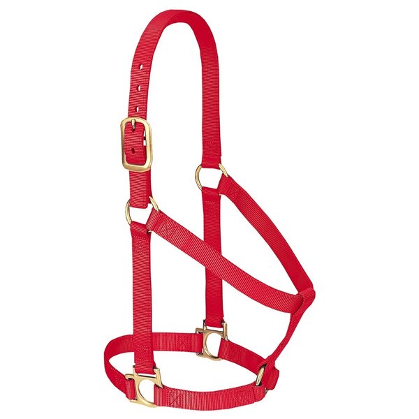 Weaver Leather Basic Non-Adjustable Nylon Horse Halter, Red, 1" Average Horse