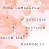 ARCONA Celestial Activating Essence - Rose Water Toner For Face, Organic Bergamot, Rosa Damascena Flower Oil, Chamomilla Flower Extract - 2 Fl Oz. Made In The USA