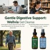 XGZcosmetics Wellvia Gut Cleanse, Purity Shield, Gut and Colon Support, Non-GMO for Women & Men, Black Walnut Hull, Wormwood, Ginger - 2 PCS
