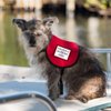 Emotional Support Dog Vest - Complete with Two Patches (7-11 Pounds, Raspberry) - Includes 5 Federal Law ESA Handout Cards