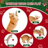 TEAWOO Cat Toy Balls with Launchers Set (2+60), 60 Cat Pom Pom Balls & 2 Cat Toy Ball Launchers, Cat Enrichment Toys, Interactive Cat Toy Balls, Christmas Toy for Cats