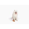 Midlee Santa's Milk and Cookies Plush Dog Toy Gift Box