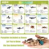 RECUR Sea Animal Toys for Kids 12pcs Ocean Animal Figures Mini Animal Toys Figures Under The Sea Party Favor for Boy Including Shark Octopus Crab Plastic Animal Figurines Bath Toys