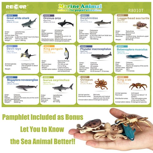 RECUR Sea Animal Toys for Kids 12pcs Ocean Animal Figures Mini Animal Toys Figures Under The Sea Party Favor for Boy Including Shark Octopus Crab Plastic Animal Figurines Bath Toys
