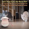 Automatic Laser Cat Toy,Interactive Cat Toy,Random-Trajectory Laser Cat Toy,Rechargeable Laser Cat Toy for Indoor Cats and Kittens, 3 Play Modes for Engaging Fun