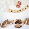 Uniwish Two Wild Banner Baby Boy Girl 2nd Birthday Party Decorations Garland Jungle Theme Party Supplies Rustic Two Years Old Birthday Sign with Glitter Crown