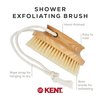 Kent FD11 Shower Brush Back Brush Shower Exfoliating Brush Body Wash Brush Oval Bath Brush Exfoliates Wet or Dry Skin and Improves Circulation. Perfect for Lathering and Scrubbing. Made in England.
