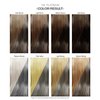 Adore Semi Permanent Hair Color - Vegan and Cruelty-Free Hair Dye - 4 Fl Oz - 150 Platinum (Pack of 1)