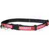 Pets First Collegiate Pet Accessories, Cat Collar, Louisville Cardinals, One Size