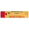BURTS BEES Lip Balm Watermelon, 0.15 OZ