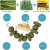 kathson 3Pcs Bunny Chew Toys Rabbit Chewing Toy for Teeth Grinding Chinchilla Treats Timothy Grass Cake Molar Balls for Guinea Pigs Hamsters Gerbils Rats Squirrels Playing Improve Pets Dental