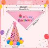 PUPTECK Dog Birthday Bandana Scarfs with Cute Doggie Birthday Party Hat