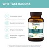 Himalaya Organic Bacopa Monnieri Nootropic Herbal Supplement, Mental Alertness, Supports Calm, Memory, Cognition, USDA Organic, Non-GMO, 750 mg, 60 Plant-Based Caplets, 2 Pack, 120 Day Supply