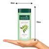 Biotique Bio Neem Margosa Anti Dandruff Shampoo and Conditioner, 180ml