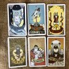 Atesswy Stray Cat Tarot - A Powerful and Cute Tarot Deck for Cat Lovers, Standard Size: 4.75" x 2.75"