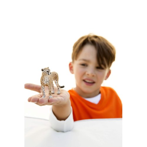 Schleich Wild Life, Animal Figurine, Animal Toys for Boys and Girls 3-8 Years Old, Female Cheetah, Ages 3+