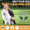 Carmelie Flea and Tick Prevention for Dogs - 200 Soft Chewables Natural Dog Flea and Tick Support - Oral Flea Supplement for All Breeds & Size Dogs, Puppy Flea Protection - Duck Flavor