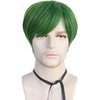 HUNIGIR Mens Green Wig Short Straight Wig Green Boys Anime Wig Heat Resistant Synthetic Halloween Cosplay Wig (Green)