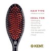 Kent CSMS Classic Shine Small Oval Cushion Straightening Brush - Natural Black Boar Bristle Hair Brush with Nylon Quills - Shine Hair Brush and Scalp Scrubber for Short to Shoulder Length Hair
