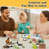 Life Cycle Learning Toys for Kids: Life Science Education Kits with Butterfly, Frog, Chicken, Mantis, Bee, Plants - 25 Pieces Animal Figurines Montessori Toys for Children Age 3 4 5 6 7 8+