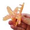 Starfish Claw Clip,Acetate Hair Clips,Small Claw Clips for Women