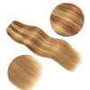 5 Pieces 12" Remy Clip in Ombre Hair Extensions Human Hair Light Blonde Mixed Golden Blond Highlights - Silky Straight Long Thick Real Hair Extensions for Women Fashion (12 inches, 16/22, 60grams)