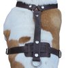 Genuine Leather Dog Harness, 29"-37" Chest, 1" Wide Straps, Boxer, Pitbull, Bullterrier